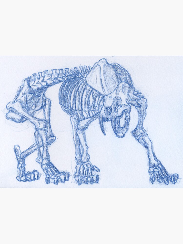 "Skeleton Saber Tooth Tiger " Sticker by Blood-Magic | Redbubble
