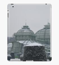 Austria in winter iPad Case/Skin