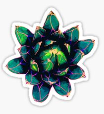 Sweet Agave ( Blue Succulent ) Sticker