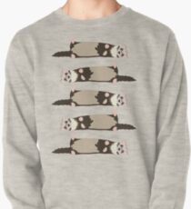 ferrets Pullover