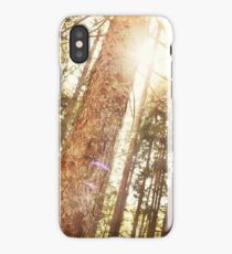 Sunlight in the Forest iPhone Case
