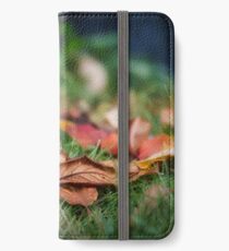A Touch Of Fall iPhone Wallet/Case/Skin