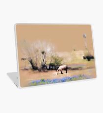 Taking It Slow and Easy Laptop Skin