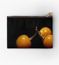 All for one,One for all! Studio Pouch