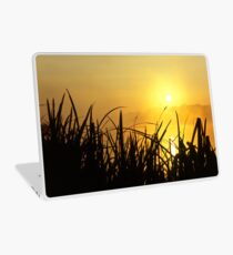 Sunrise Through The Reeds Laptop Skin