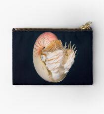 Chambered Nautilus Studio Pouch