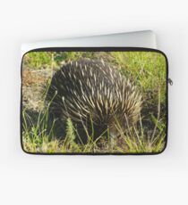 Echidna Laptop Sleeve