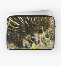 Echidna Laptop Sleeve
