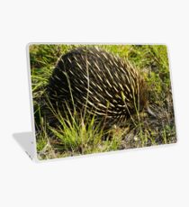 Echidna Laptop Skin