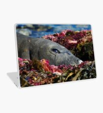 Lazin on a Sunny Afternoon Laptop Skin