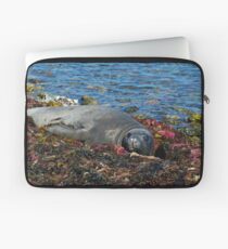 Lazin on a Sunny Afternoon Laptop Sleeve