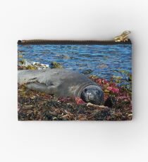 Lazin on a Sunny Afternoon Studio Pouch