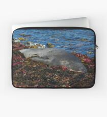 Lazin on a Sunny Afternoon Laptop Sleeve