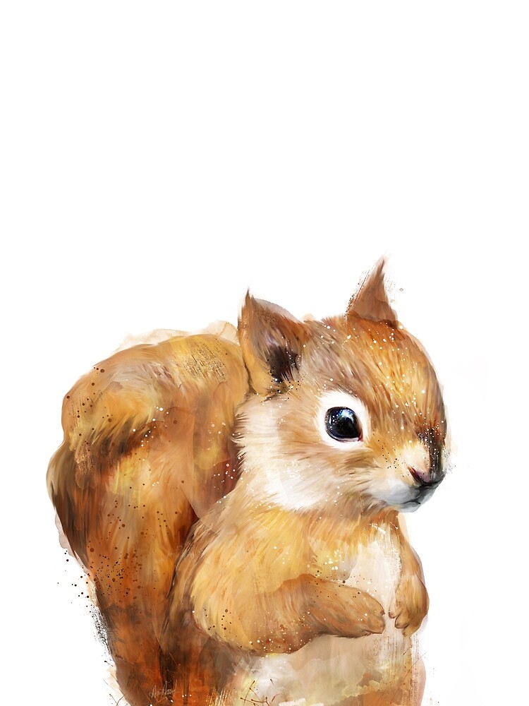Little Squirrel by AmyHamilton