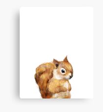 Little Squirrel Canvas Print