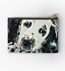Dalmatian Studio Pouch