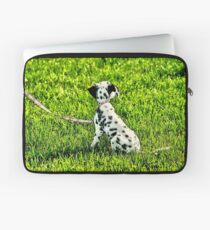 Dalmatian Laptop Sleeve