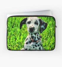 Dalmatian Laptop Sleeve