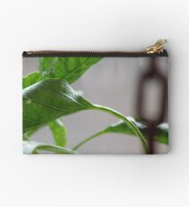 capsicum Studio Pouch