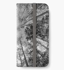 Soaring Cypress iPhone Wallet/Case/Skin