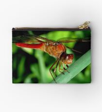 Ready For Take Off Studio Pouch