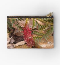 Proteaceae - Grevillea Boongala Spinebill Studio Pouch