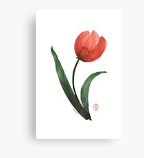 Tulipan Canvas Print