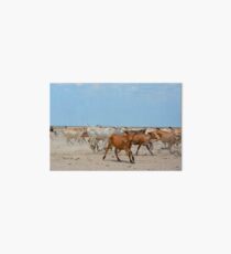 Carefree Heifer Art Board