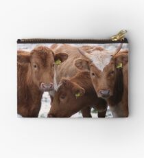Nice Earrings Studio Pouch