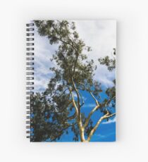 Eucalyptus Spiral Notebook