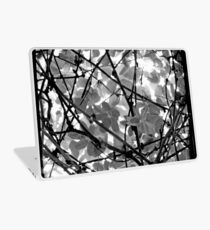 The Chocolate Vine Through The Viewfinder (TTV) Laptop Skin