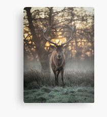 Love you deer lighter print Metal Print