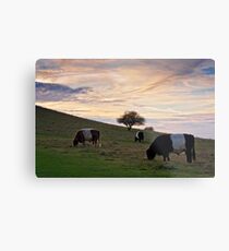 Pitstone Hill Metal Print