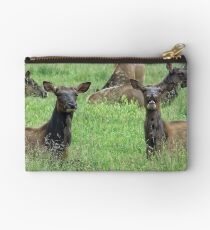 You Tell'm Sister, Those Paparazzi Just Make Me Sick! Studio Pouch