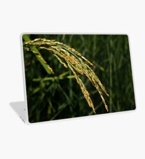 Vinilo para portátil Arroz