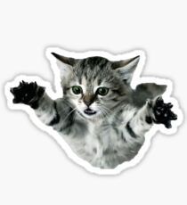 cat Sticker