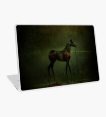 Ruin Laptop Skin