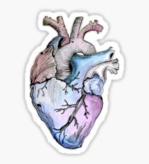 Anatomical Blue Heart Sticker