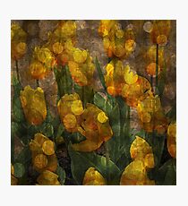 Nature Photographic Print