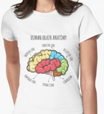 Camiseta entallada para mujer Bosquejo de la anatomía del cerebro humano