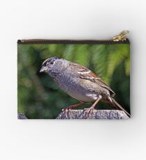 Golden-Crowned Sparrow Studio Pouch