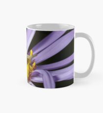 A Crab Spider (Misumena vatia) laying in wait on a Purple Aster flower for an unsuspecting bee or fly. Mug