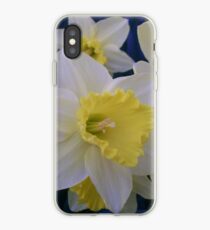 Daffodils iPhone Case