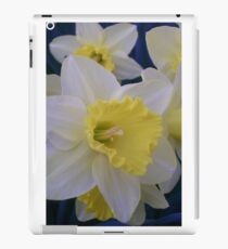 Daffodils iPad Case/Skin