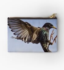 Startling Studio Pouch