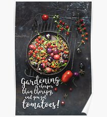 You get tomatoes! Poster