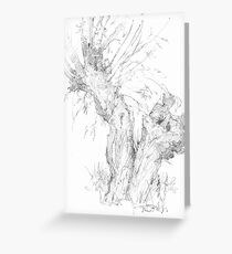 Weeping (Crack) Willow Tree Greeting Card