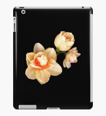 Daffodils iPad Case/Skin