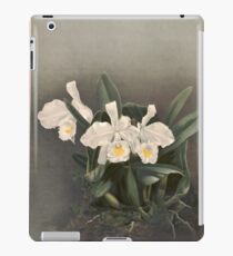 Reichenbachia Orchids illustrated and described by F. Sander 1888 V1-V2 081 iPad Case/Skin