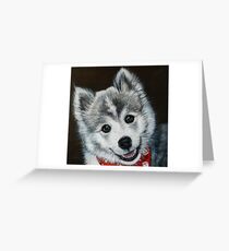 Oreo the Pomsky Greeting Card